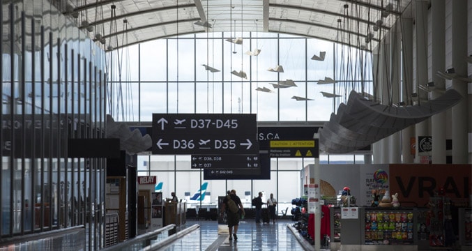 Flight Song par Robert Charles Coyle