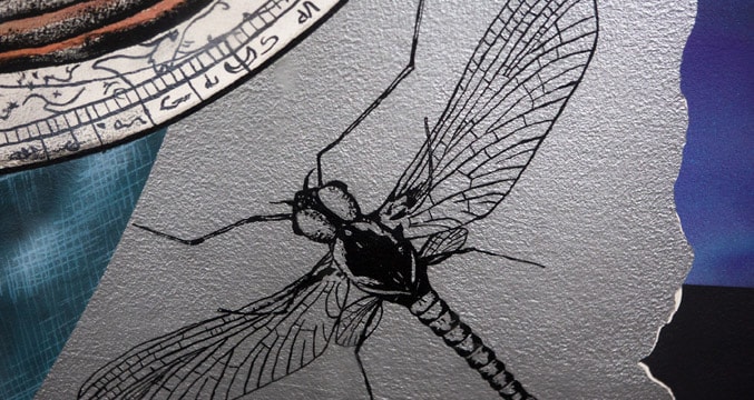 Open Sky par Rebecca Baird