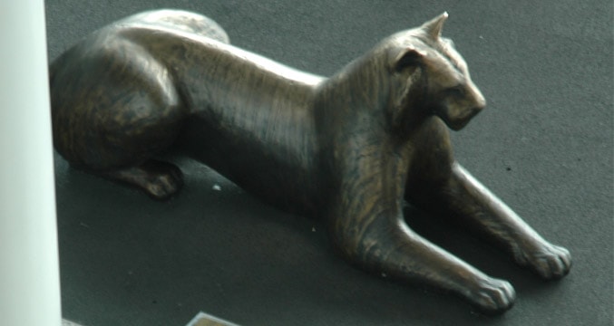 Tiger #3 et Tiger #5 par Gwynn Murril  