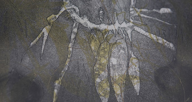 Sur la gauche: Escape From the Land of The Wandering, Episode II  Sur la droite: Untitled