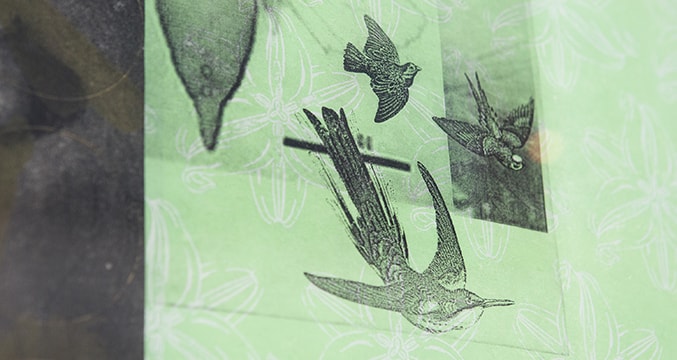 Sur la gauche: Escape From the Land of The Wandering, Episode II  Sur la droite: Untitled