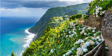 a hillside with flowers and a body of water below