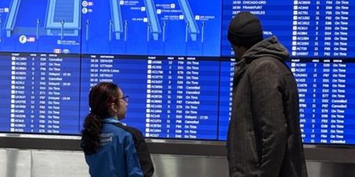 a man and woman looking at a screen