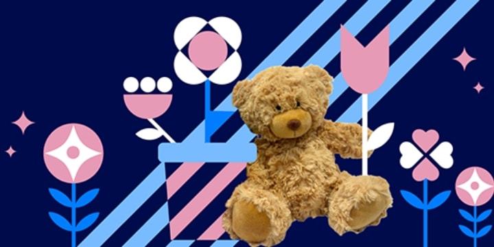 a teddy bear holding a flag