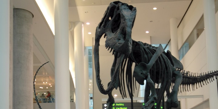 A Scene from the Late Jurassic by the ROM