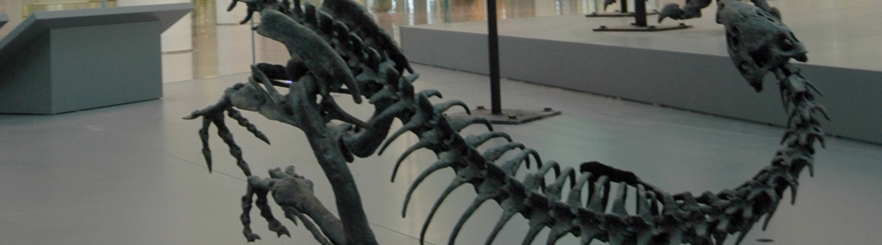 A Scene from the Late Jurassic by the ROM