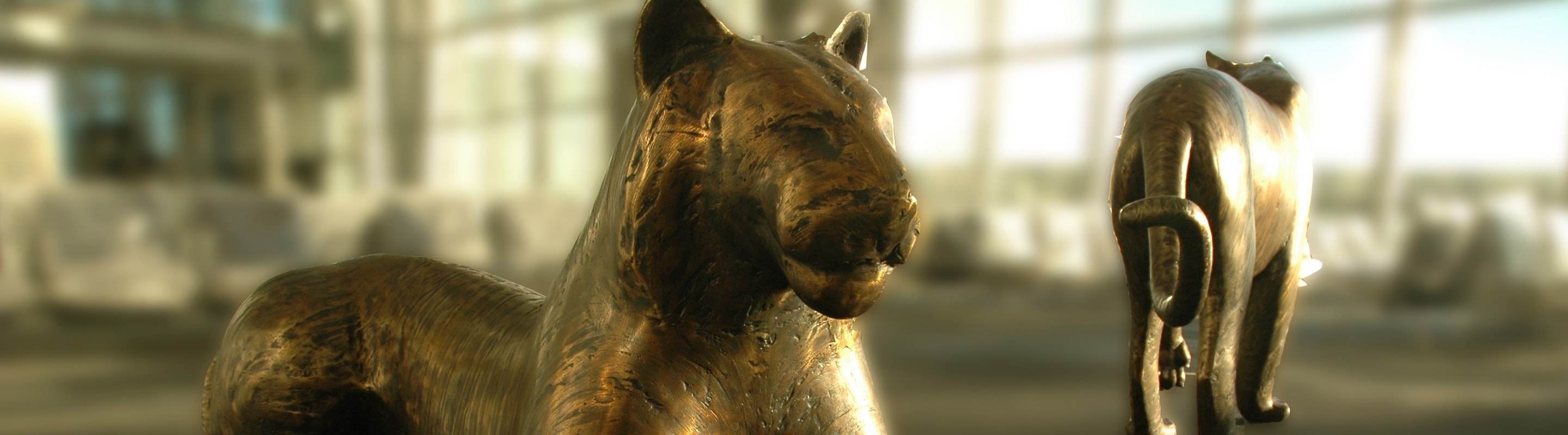 Tiger 3 and Tiger 5 by Gwynn Murril