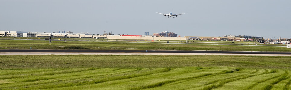 Gazon récemment tondu à l’aéroport Pearson de Toronto, avec un avion dans l’air à l’arrière-plan.