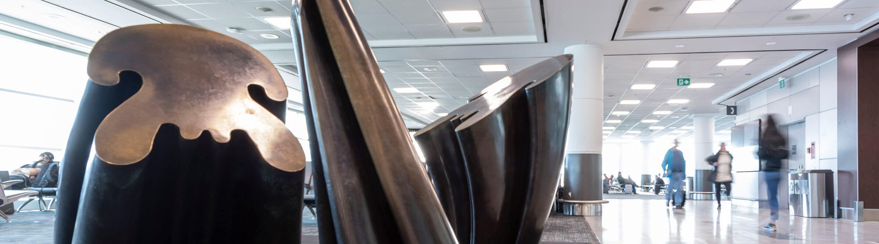 Skin of Light par Derek Revington